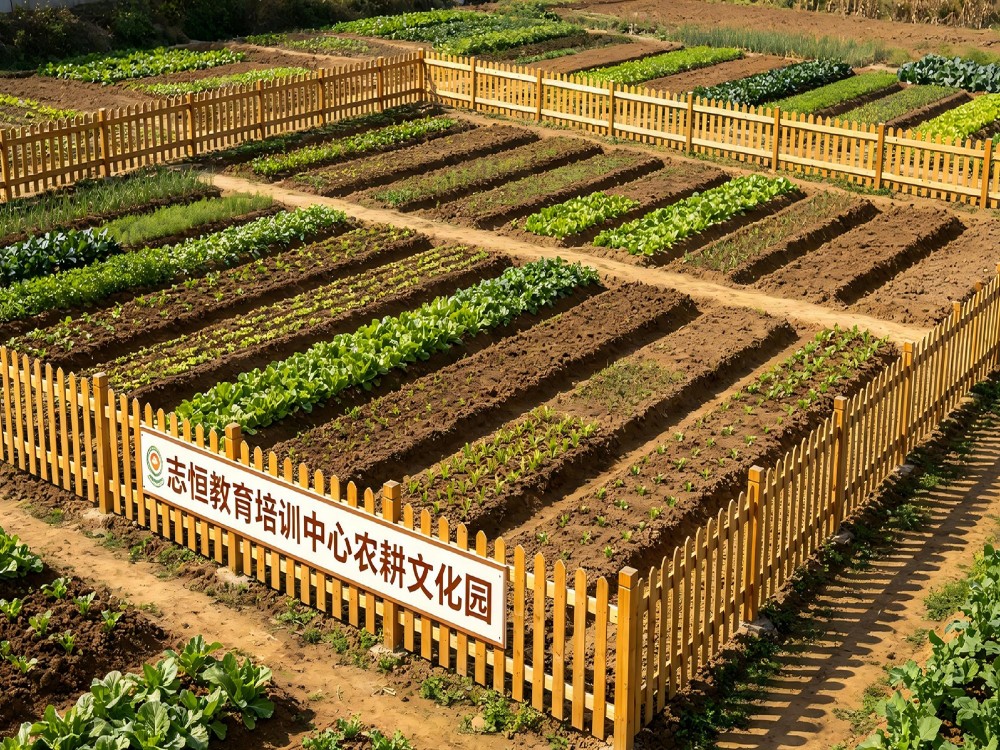2026甄选中山知名的全封闭叛逆小孩改变学校怎么联系
